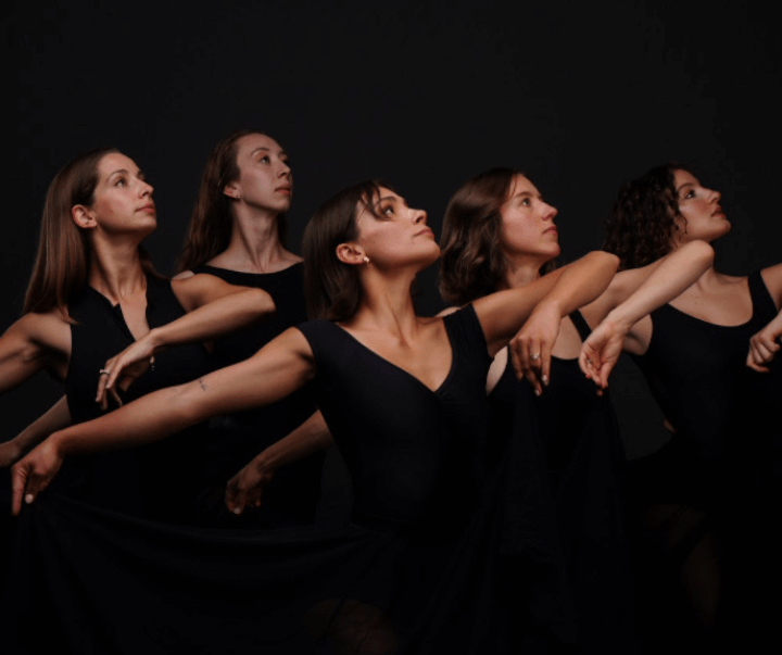 The Trust Dance Festival